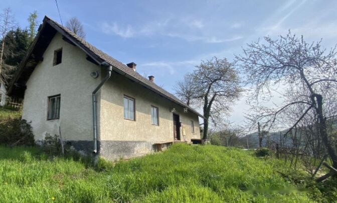 Дом в Подлехнике