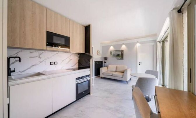 Apartment Cannes