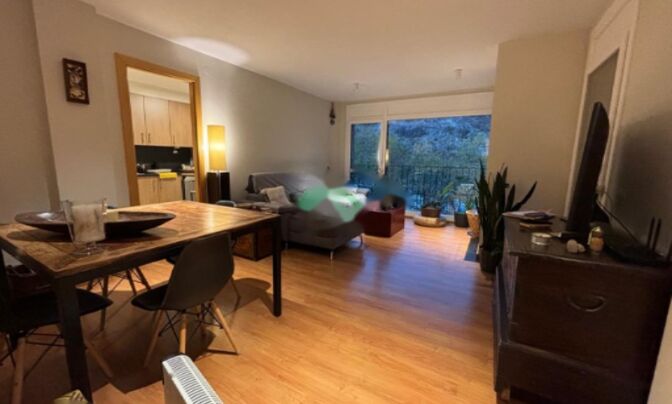 2-bedroom apartment with 2 auxiliary rooms in Ordino for sale