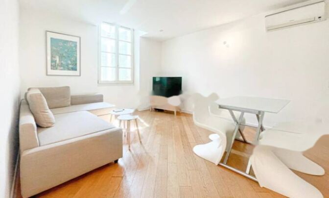 Apartment Cannes Center