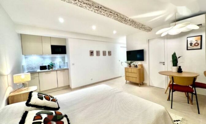 Apartment Cannes Center