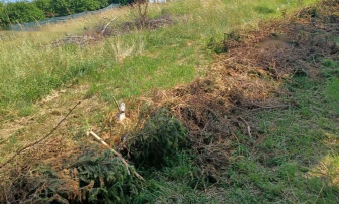 Участок Земли, Тачен, Околица 3.5 км.