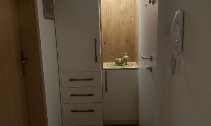 Трёхкомнатная квартира Шишка