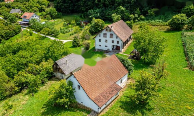 Усадьба, ферма Рифник