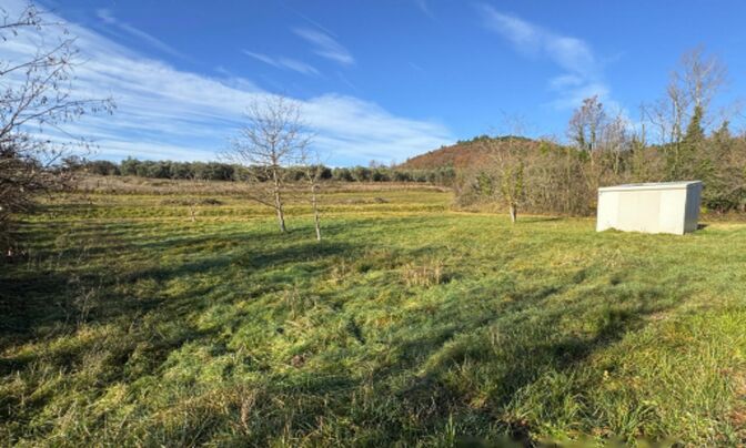 Поместье, ферма Драгойня.