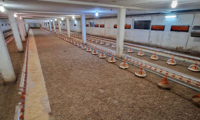 Поместье, ферма Фаровец, рядом со Словенской Бистрицей