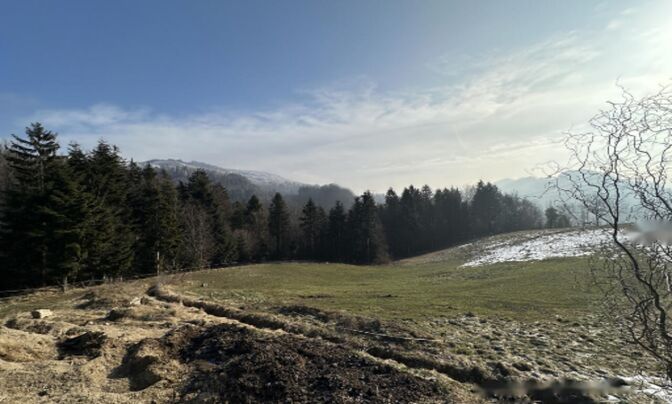 Поместье, ферма Каменная Гора.