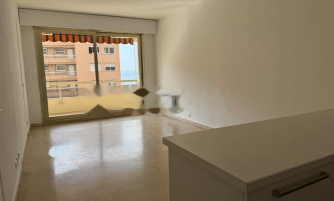 Apartment Monaco, La Rousse