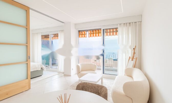 Apartment Monaco, La Rousse