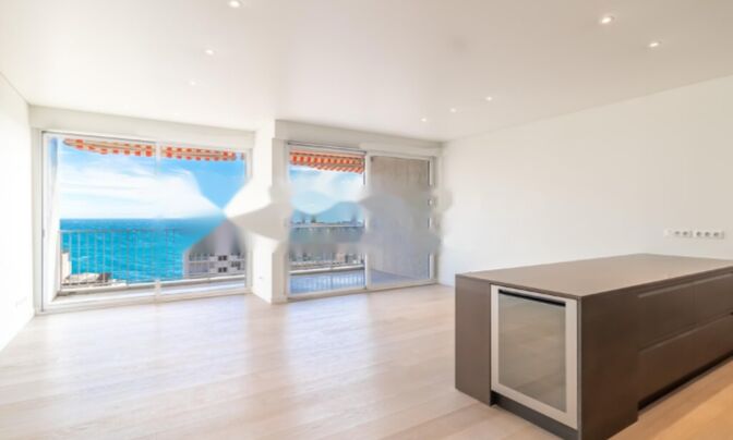 Apartment Monaco, La Rousse