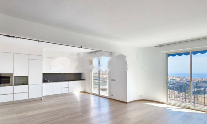 Apartment Monaco, Moneghetti