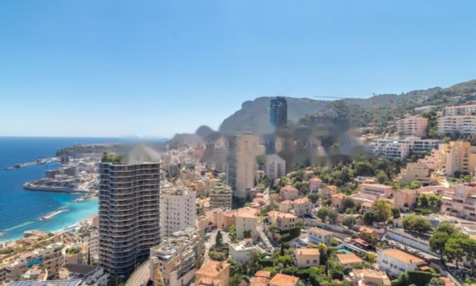 Apartment Monaco, La Rousse