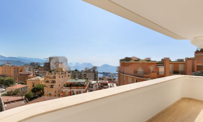 Apartment Monaco, Moneghetti