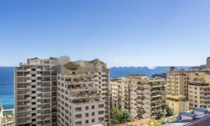 Apartment Monaco, La Rousse