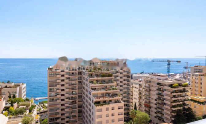Apartment Monaco, La Rousse