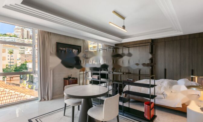 Apartment Monaco, Condamine