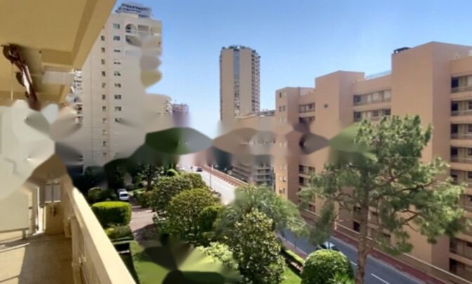 Apartment Monaco, La Rousse-Saint Roman