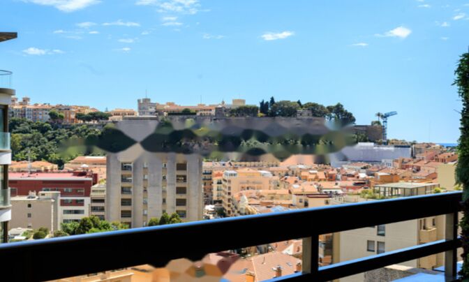 Apartment Monaco, Condamine