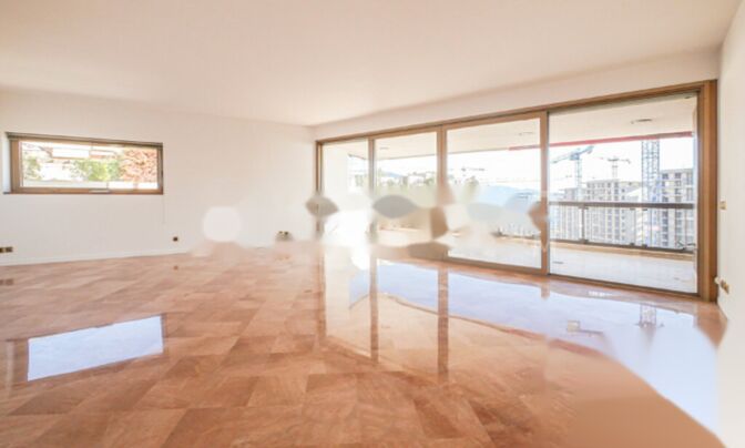 Apartment Monaco, Carre D'Or