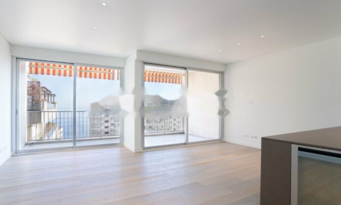 Apartment Monaco, La Rousse