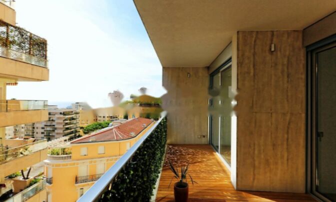 Apartment Monaco, La Rousse
