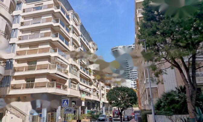 Apartment Monaco, La Rousse