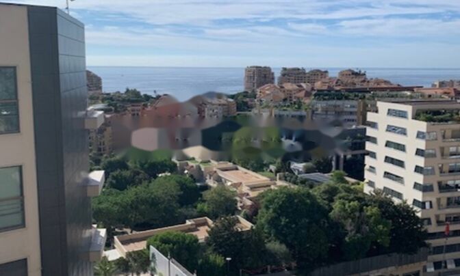 Apartment Monaco, Condamine