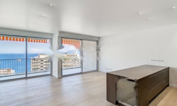 Apartment Monaco, La Rousse - Saint Roman