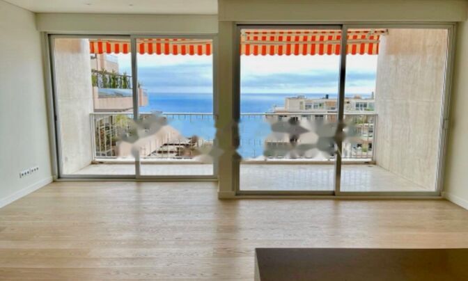 Apartment Monaco, La Rousse