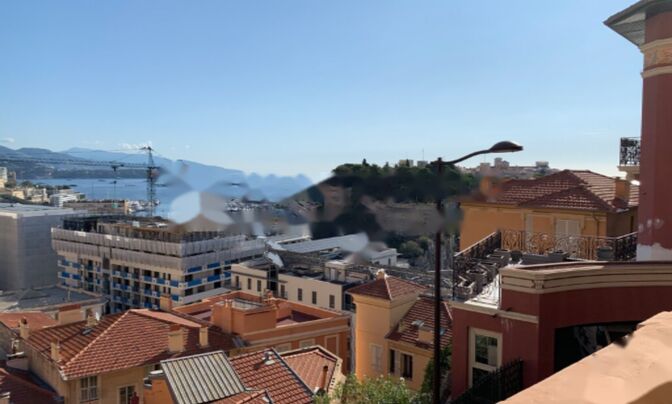 Apartment Monaco, Jardin Exotique