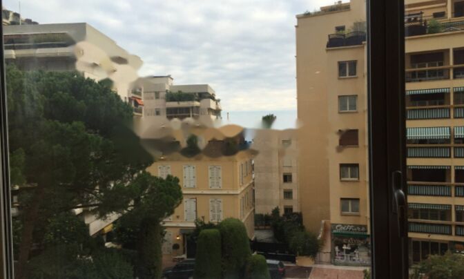 Apartment Monaco, La Rousse