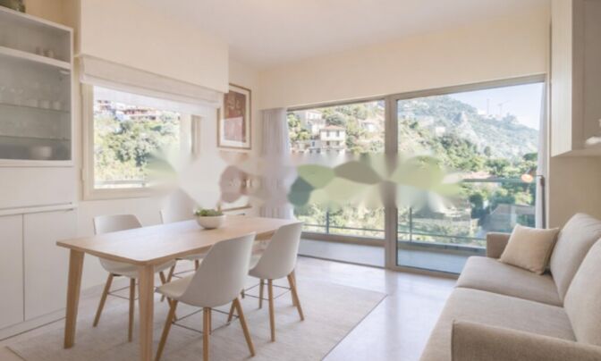 Apartment Monaco, La Rousse