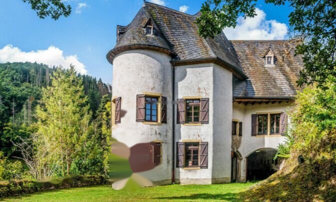 House for sale in Stolzembourg