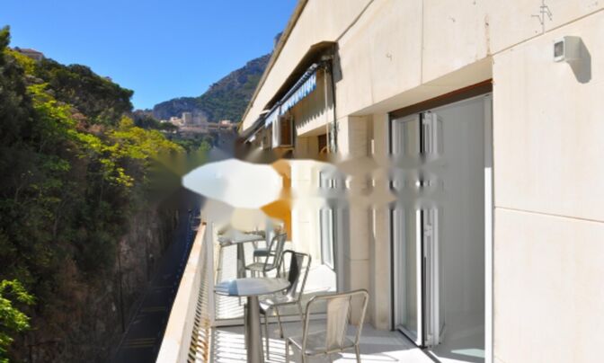 Apartment Monaco, Port