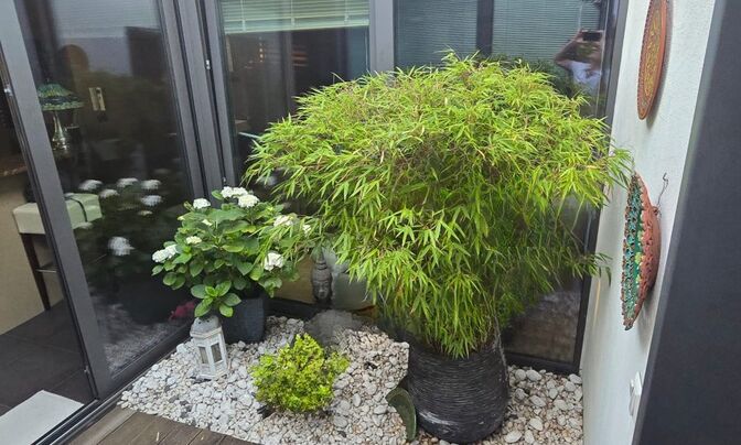 Penthouse 2 bedrooms for sale in Esch-sur-Alzette