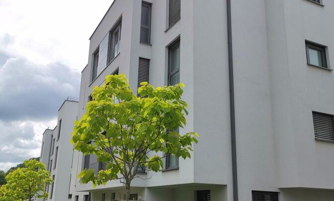 Apartment 2 bedrooms for sale in Luxembourg-Limpertsberg