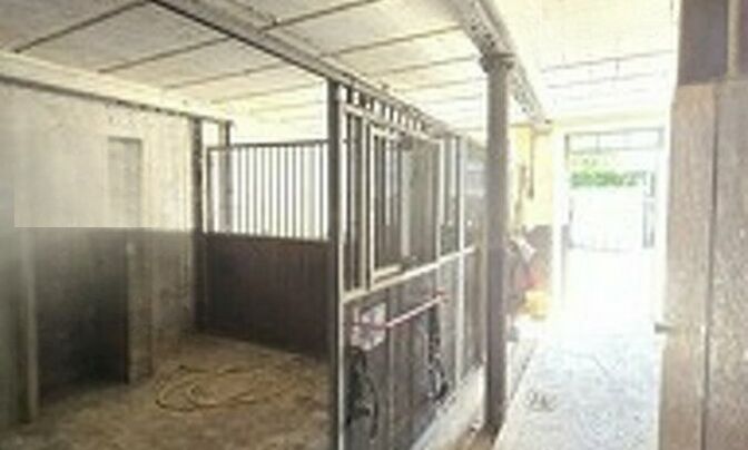 House 7 bedrooms for sale in Merscheid (Putscheid)