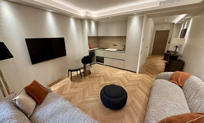 Apartment Monaco, La Rousse