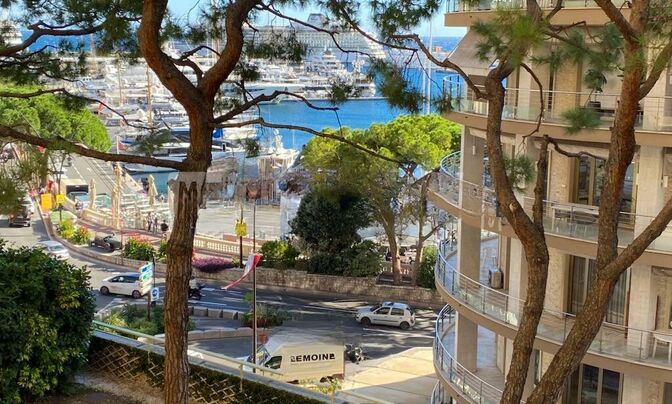 Apartment Monaco, Port
