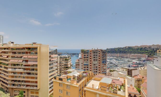 Apartment Monaco, Condamine