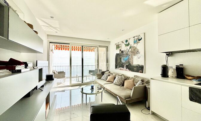 Apartment Monaco, La Rousse