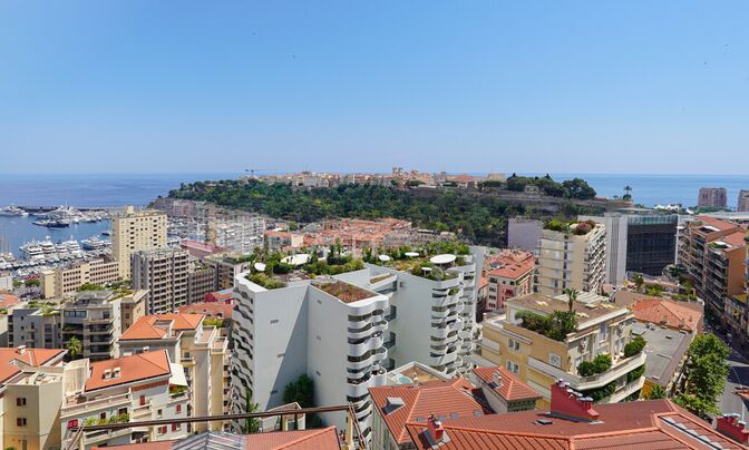 Apartment Monaco, Moneghetti