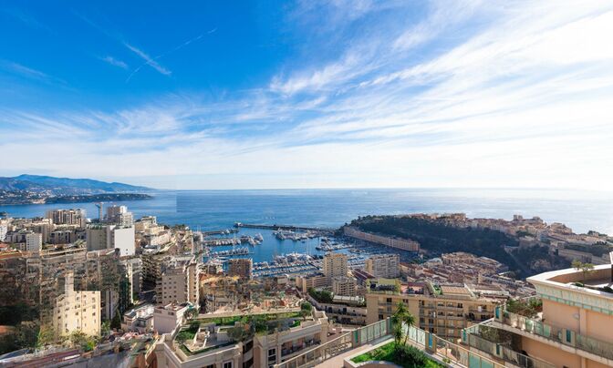 Apartment Monaco, Moneghetti