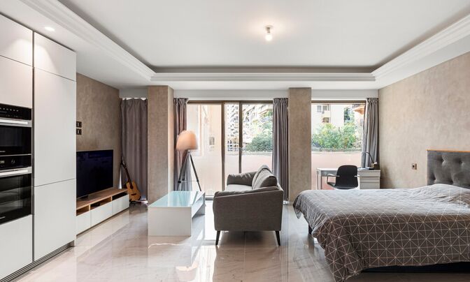 Apartment Monaco, Condamine