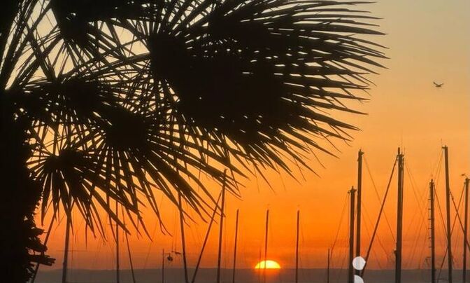 Villa Pointe Croisette