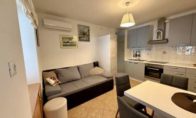 Однокомнатная квартира Ика