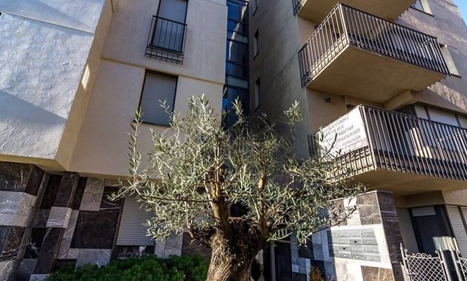 Трехкомнатная квартира в Опатии