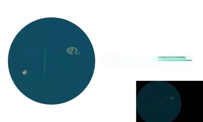 Apartment 3 bedrooms for sale in Luxembourg-Merl