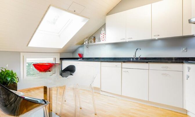 Attic flat 5.5 rooms