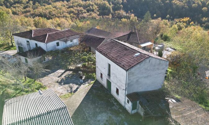 House in the village of Kozlovichi